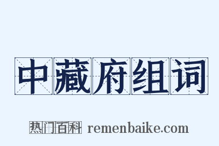 中藏府组词是什么意思的图片